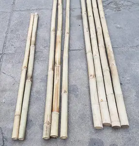 Bitki hammaddeleri için ucuz fiyat kamışı bambu direk-bambu satış çiçek bahçe desteği