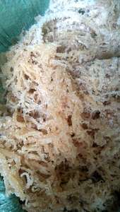 Grandes cantidades de algas secas Cottonii para exportación con alta calidad para la venta-Algas marinas Cottonii de alta calidad para la venta - Product Image 5