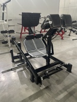 Équipement de fitness professionnel pour salle de sport, Station d'entraînement multifonctionnelle à charge libre pour extension des hanches à 45 degrés et exercices de renforcement des fessiers et du tronc