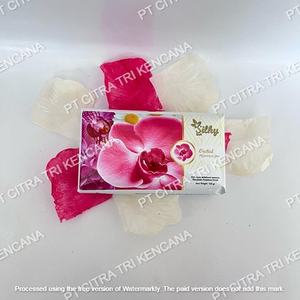 SAVON DE SOIN DE LA PEAU AU COLAGÈNE pour la PEAU, pour le BAIN DE LA PEAU, SAVON DE BEAUTÉ, SAVON POUR LE CORPS, SAVON DE DOUCHE, MEILLEUR pour Kandep PAPUA-NOUVELLE GUINÉE - Product Image 3