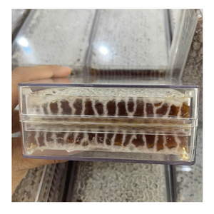 Saborea la naturaleza mejor: panal crudo, de origen sostenible, agrega dulzura pura, vibraciones ecológicas a tu vida gourmet de Vietnam - Product Image 3