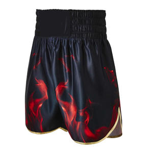 Best Selling Martial Arts Wear <b>Men</b> <b>Black</b> Flame Printed Boxing <b>Shorts</b> With Embroidered Logo for Sale Boxing <b>Shorts</b> - Product Image 1