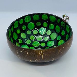 Divers modèles bol en coquille de noix de coco en laque polie colorée décor de camping élégant avec différents styles disponibles - Product Image 6