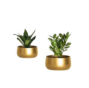 Best Selling Metal Home Decor Flower <b>Pots</b> Admirable Design Planter with <b>Herb</b> Container Stand for Indoor Plants & Outdoor <b>Herbs</b> - Product Image 6