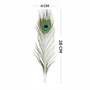 Home Genie Plumes de paon naturelles 10 à 12 pouces (paquet de 10) pour la décoration intérieure, l'artisanat et l'utilisation spirituelle - Product Image 2