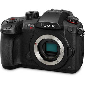 Appareil photo numérique hybride Micro Four Thirds DC-GH5S avec carte mémoire et kit d'accessoires pour l'enregistrement vidéo - Product Image 2
