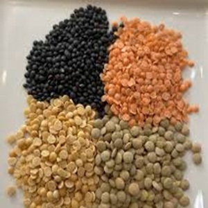 Lentilles jaunes fendues de qualité alimentaire (Moong Dal) prêtes à l'exportation au prix de gros - Product Image 2