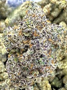 Prodotto di Canapa Industriale all'Ingrosso - Product Image 2