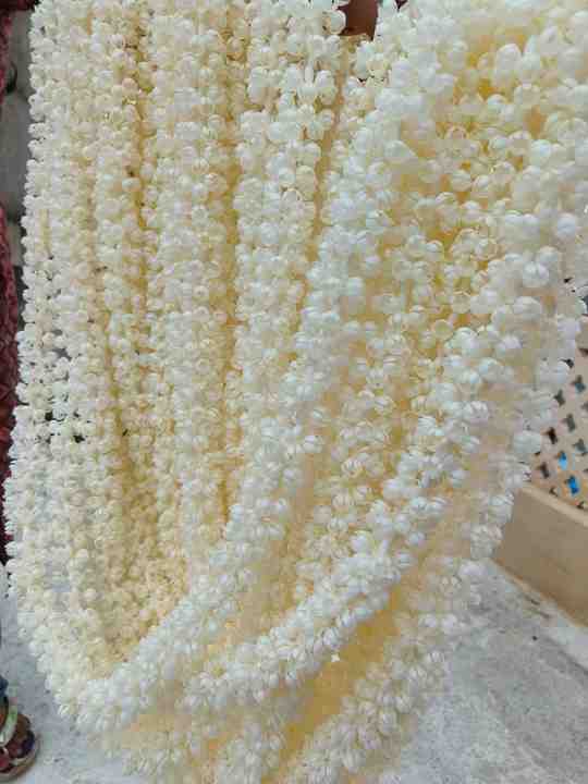 Artificial Jasmine Backdrop Curtain for South Indian Weddings & Eids Islamic Nikah Pardah Partition for Bride & Groom Decor