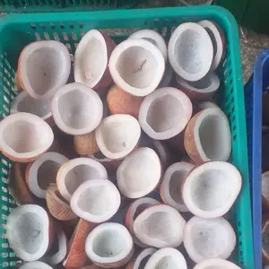 Viande de noix de coco pure tropicale 100%, fraîche et délicieuse Distributeur entier de Coconut Copra Holiday - Product Image 6