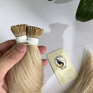 Meilleur Vente Super Double Drawn Cheveux Vietnamien Cheveux Kératine JE Pointe Extensions Blonde Pré-Collé Cabelo Humano Naturel - Product Image 3