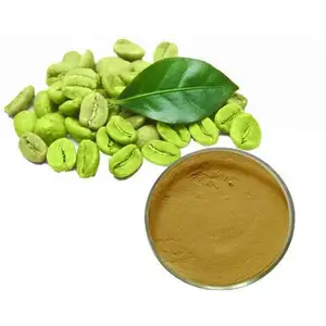 100% 纯绿咖啡豆提取物粉末50% 绿原酸由美容和个人护理原创品牌生产
