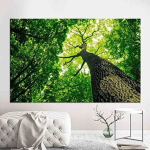 Decoración Boho Elegante: Lienzo Impreso para Pared, Arte Moderno para el Hogar, Lienzo Enrollado - Product Image 1