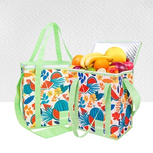 Bolsa Térmica Plegable y Portátil de Tela No Tejida con Cierre de Cremallera, Ecológica, Resistente a Impactos, Tamaño y Empaque Personalizables - Product Image 2