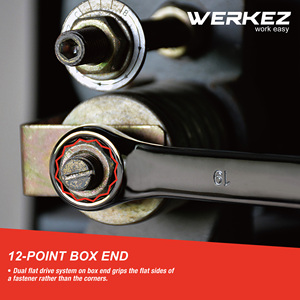 Llave combinada de carraca Werkez de alta calidad, herramienta de mano de acero cromado para reparación Industrial DIY de 21mm, caja de soporte OEM métrica - Product Image 4