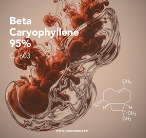 Beta Caryophyllene 95% Puro, Fragancia Amaderada (CL-603), Aroma a Vainilla - Product Image 1