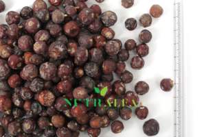 Bayas de enebro secas naturales para saborizar y aceites esenciales - Product Image 3