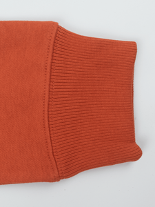 Sweats à capuche surdimensionnés à impression bouffante de qualité luxueuse pour hommes 100% coton lourd pour l'hiver Streetwear - Product Image 5