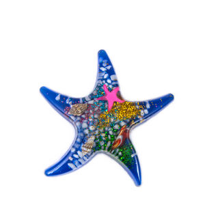 Personalizable Estilo Tradicional Estrella de Mar en Forma de Resina Transparente Imán de Nevera Tamaño Mediano Animal Magnético Recuerdos Turísticos - Product Image 6