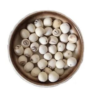 Semillas de loto blanco secas naturales en estilo fresco a granel para supermercados y distribuidores - Product Image 4