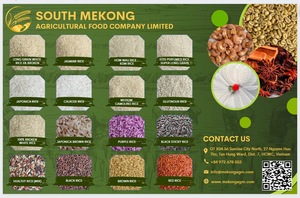 Arroz jazmín, el arroz más vendido del sur del Mekong, Vietnam - What.app84972678053 - Product Image 4