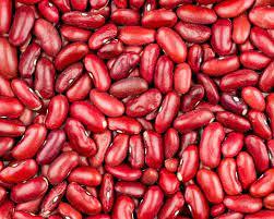 Organic Red <b>Kidney</b> <b>Beans</b> GMO-Free Light Speckled Fresh and Dried High Quality Source - Product Image 4