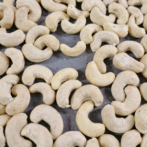 Fabriqué au Vietnam Kaju Badam SANTIGO Noyaux de cajou WW450 Service de noix de cajou brutes 24/24 - Product Image 1