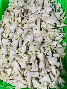 ขายร้อน!!! IQF ขนุนหนุ่มแช่แข็ง / การปรุงอาหารขนุนหนุ่มตัดรูปร่างตามคําขอของลูกค้า - Product Image 4