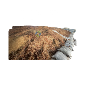 Rikaz poudre de gomme arabique d'acacia naturel de qualité alimentaire grandes particules moyennes polyvalent séché brut traité pour les aliments agricoles - Product Image 1