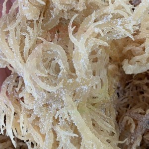 ผ้าฝ้ายคุณภาพสูงสีขาวและสีทองจากเวียดนาม - Product Image 1