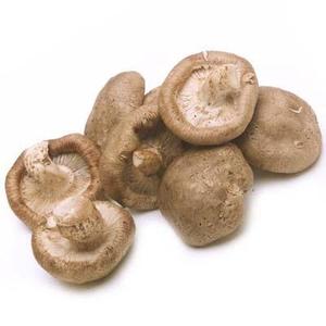 Fungo <span class=keywords><strong>Shiitake</strong></span> crudo congelato e essiccato delizioso sano