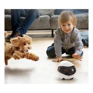 Cámara de Red SMART EBO SE Blanca y Negra 120188, Videovigilancia de Animales - Product Image 6