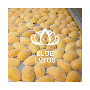 MEJOR VENTA Cubos de mango congelado de Vietnam IQF 2025 Fruta tropical dulce Venta caliente Exportación sostenible de alta calidad - Product Image 1
