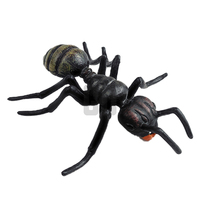 Ciclo de crecimiento de hormigas negras ¡Explora el pequeño mundo de las hormigas!