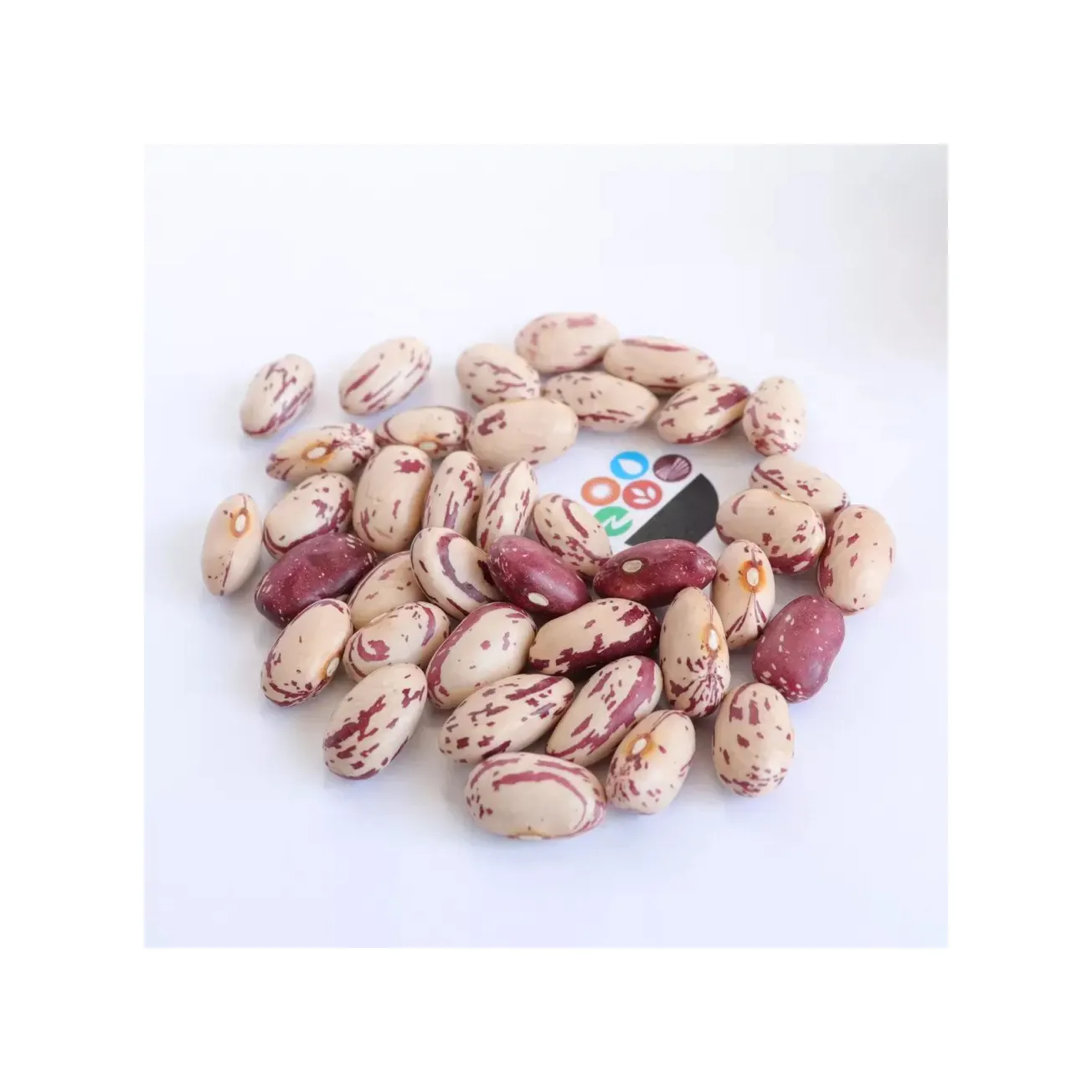軽い斑点のあるインゲン豆砂糖豆ピント豆販売のための高品質の長い形品質ダークレッド、ブラウン、砂糖豆またはP