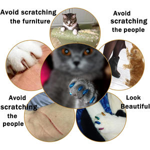 Prix d'usine – Capuchons de protection pour griffes de chat en caoutchouc souple – Cache-griffes populaires pour chats, solution anti-rayures, options multicolores pour l'entretien à domicile - Product Image 3