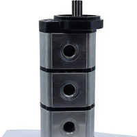 Lesili Hidrolik Dişli Pompası 6677829 6669649 Uyumlu Mini Ekskavatörler 320 322 323 320D 322G WH 5WHP3 5 HP 200 Bar 2900psi 1 Yıl Garantili
