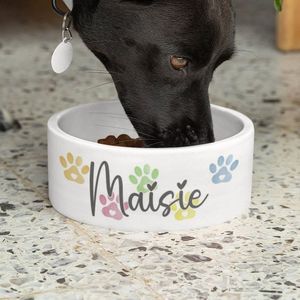 Cuenco de cerámica colorido para mascotas para gatos con impresiones divertidas que hacen que la alimentación sea una experiencia más alegre para las mascotas a diario - Product Image 5