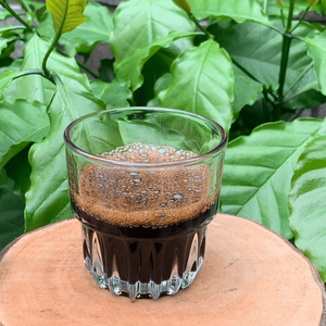 Coffee Perfection's Premium Vietnamese Robusta Whole Bean Powder Dark Roast in Bag Packaging Hecho en Vietnam - Product Image 5