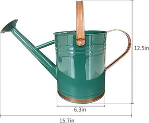 Decorative Watering Can Galvanized Tin Iron Best Selling Blue Color Metal Customized water <b>cane</b> - Product Image 4