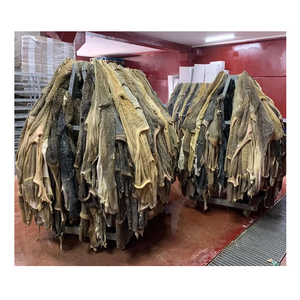 Giá Rẻ Giá Số Lượng Lớn Cổ Phiếu Nguyên Màu Xanh Lá Cây Thịt Bò <span class=keywords><strong>Tripe</strong></span> Cho Bán Với Số Lượng Lớn Với Giao Hàng Nhanh - Product Image 3