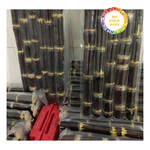 Palitos de Caña de Azúcar Congelados IQF a Granel, Duraderos, con Sabor Natural y Alto Rendimiento de Jugo para Almacenamiento Prolongado - Product Image 6