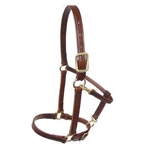 Selle anglaise en cuir de vachette marron personnalisable Halters d'équitation Confort Durabilité Comprend les tailles Logo personnalisé fait - Product Image 1