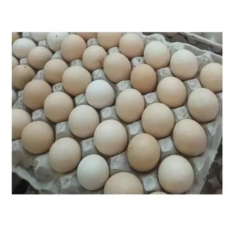 Uova da tavola bianche e marroni fresche
