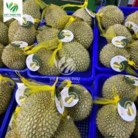 VIET THIEN PHU-VIETNAM IQF diepvriesduriëns, bulk, hoge kwaliteit, beste prijs