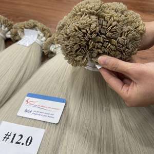 100% Extensions de cheveux raides à pointe plate en kératine vietnamienne de haute qualité teintes de Thanh An Hair - Product Image 1