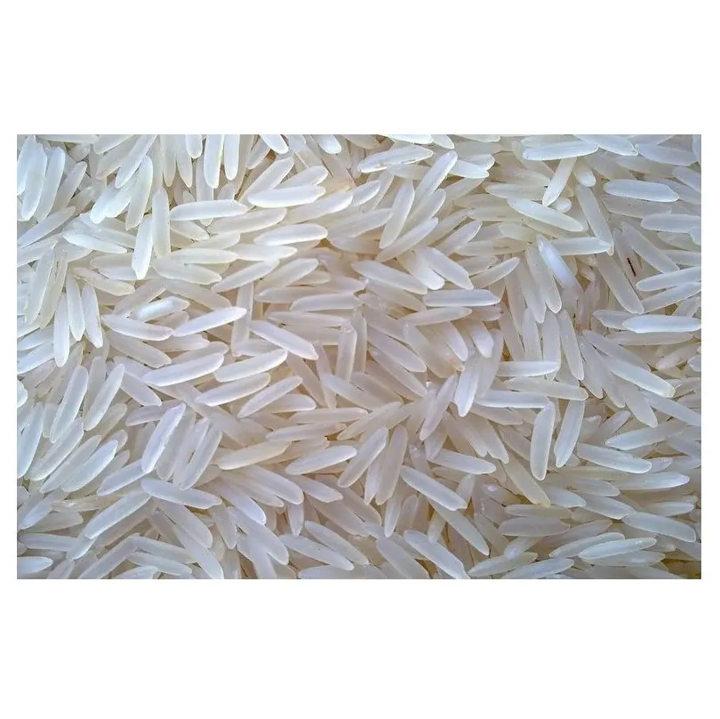Pemasok grosir biji-bijian panjang putih beras Jasmine murah harga pabrik terbaik