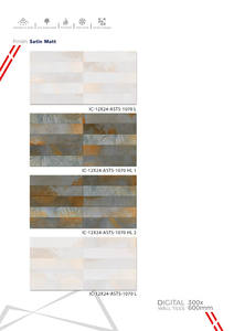 Azulejos de cerámica premium de 300x600 mm para baño y cocina, con acabado brillante, mate o con efecto de azúcar tallado, para espacios interiores elegantes. - Product Image 5