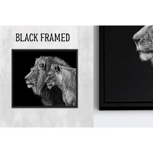 Impression sur toile d'un élégant couple de lions : œuvre d'art moderne pour la décoration de la maison, 1P Blackframedcanvas - Product Image 1