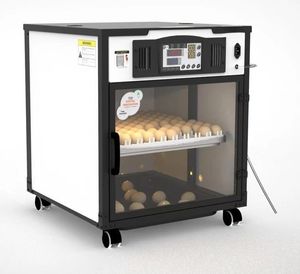 Incubadora de Huevos Automática de Alta Calidad VIETSUN, Equipo Agrícola para la Eclosión de Huevos - Hecho en Vietnam - Product Image 4